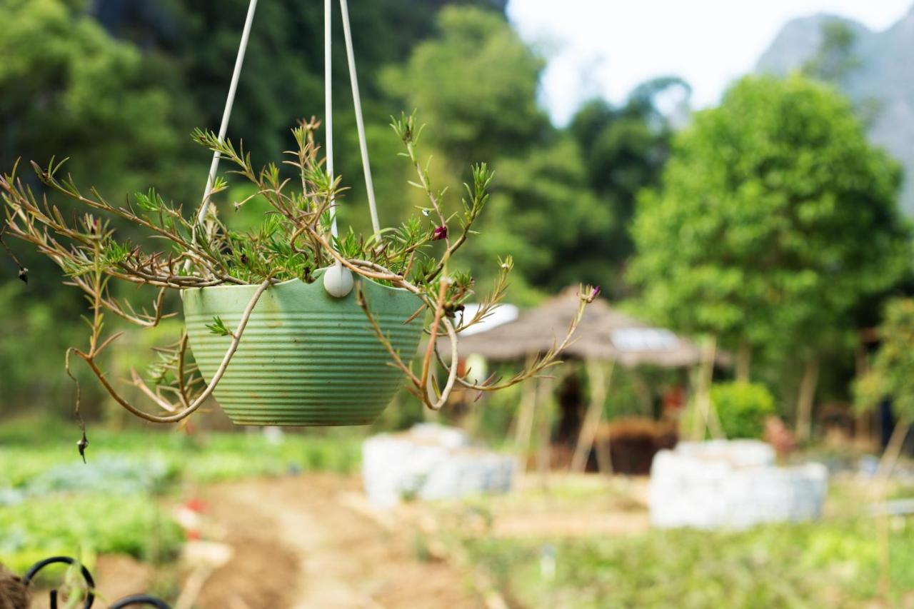 Nirvana Organic Farm Inn يانغتشو المظهر الخارجي الصورة