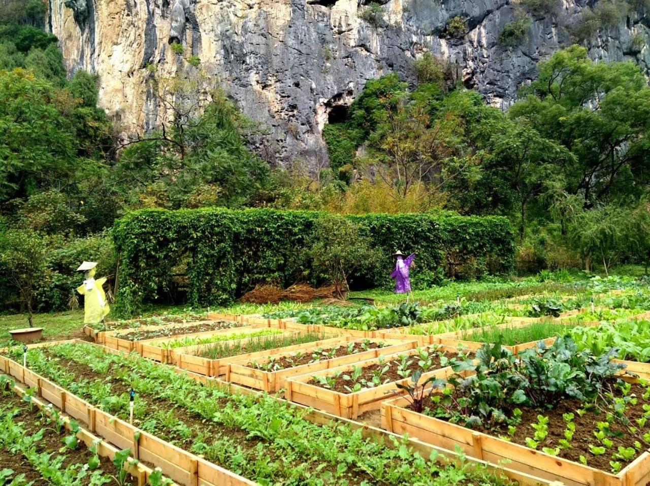 Nirvana Organic Farm Inn يانغتشو المظهر الخارجي الصورة